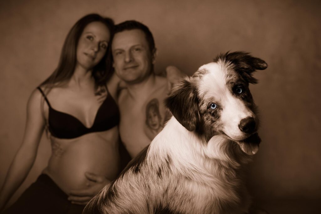 Monika Kessler Tierfotograf Vorarlberg zeigt Tierfotos mit Hunden, Katzen und Pferde